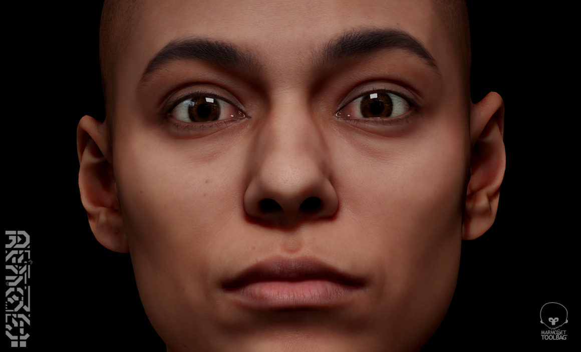 Retopologized Head