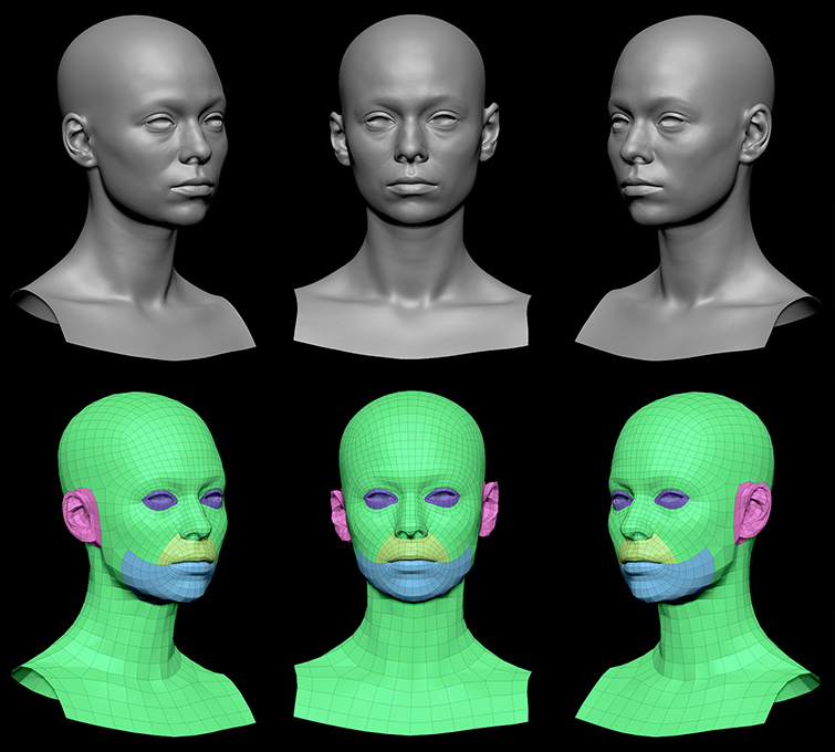 Retopologized Head subdivision